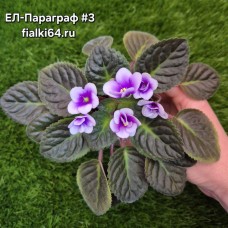 ЕЛ-Параграф №3